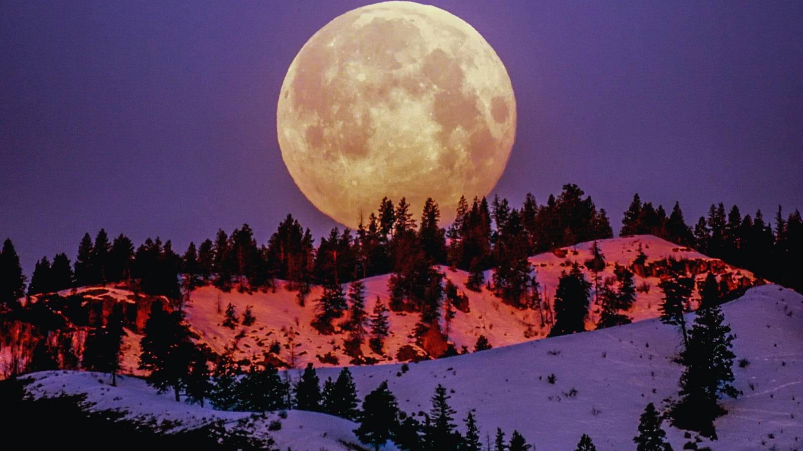 Horóscopo chino lo que deparará la ‘Luna Rosa’ este 6 de abril para