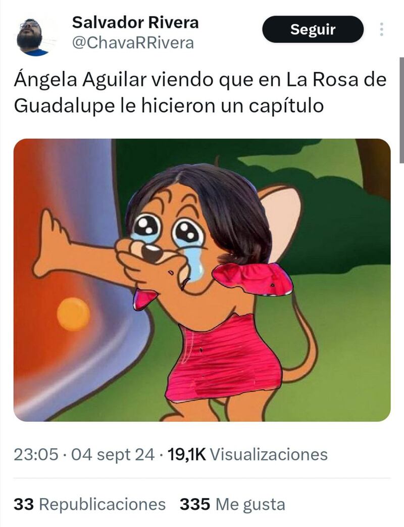 Los memes de La Rosa de Guadalupe