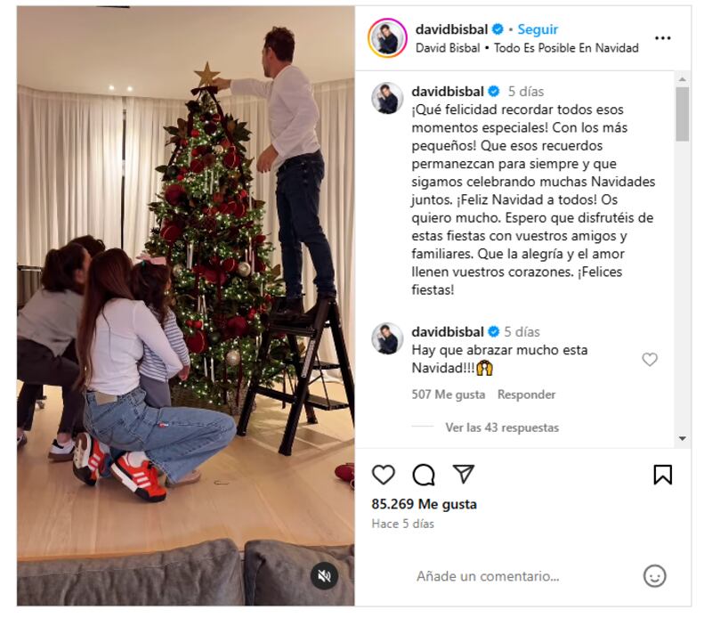 David Bisbal puso su árbol de Navidad junto a su hermosa familia