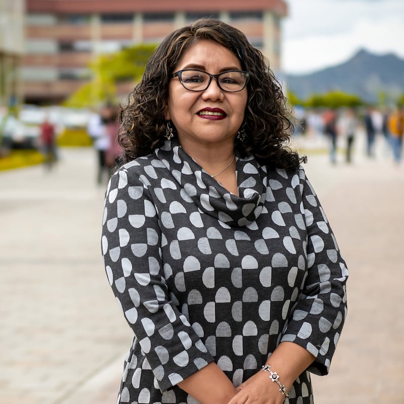 Liliana Enciso Quispe, docente investigadora del Departamento Ciencias de la Computación y Electrónica de la Facultad de Ingenierías y Arquitectura.