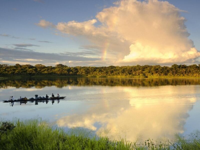 Parque Nacional Yasuní