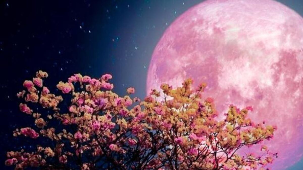 El solsticio de verano y la Luna de Fresa son los eventos astronómicos que sorprenderán en junio 2024
