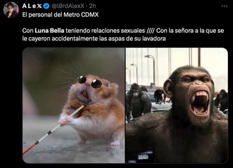 Los mejores memes de Luna Bella en el Metro de la CDMX – Nueva Mujer