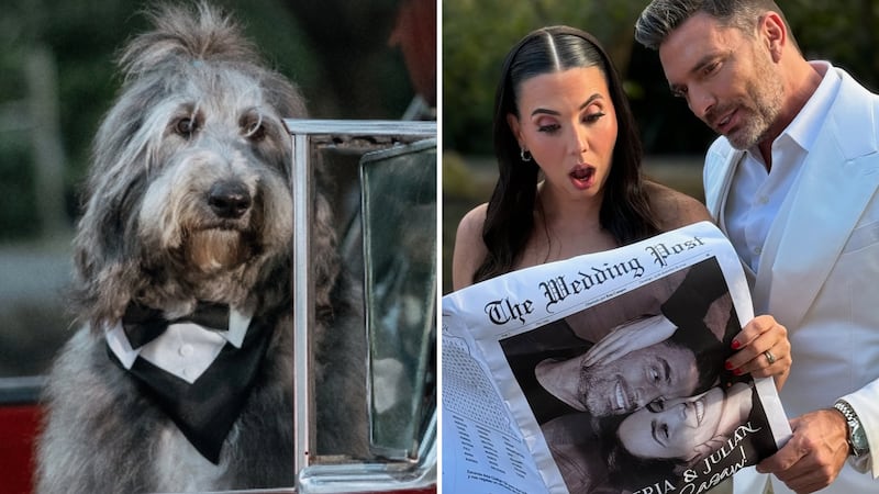 Julián Gil y Valeria Marín repartieron ejemplar de un periódico anunciando su nuevo estado civil. Su perro Batman llevó los aros.