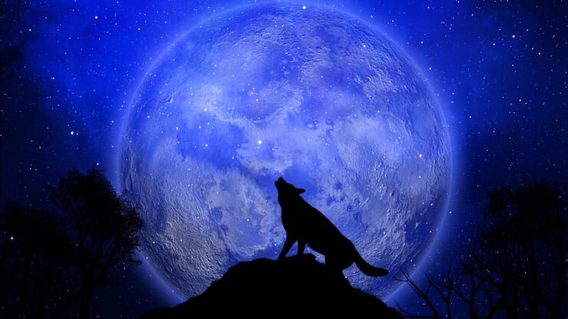 Este 13 de enero será la primera luna llena del año y se conoce como la Luna de lobo.