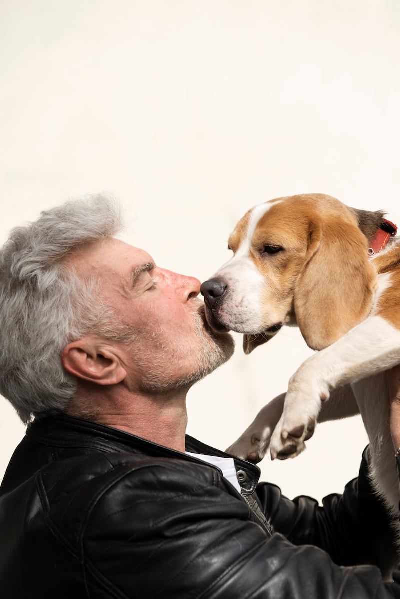 Perro junto a su dueño