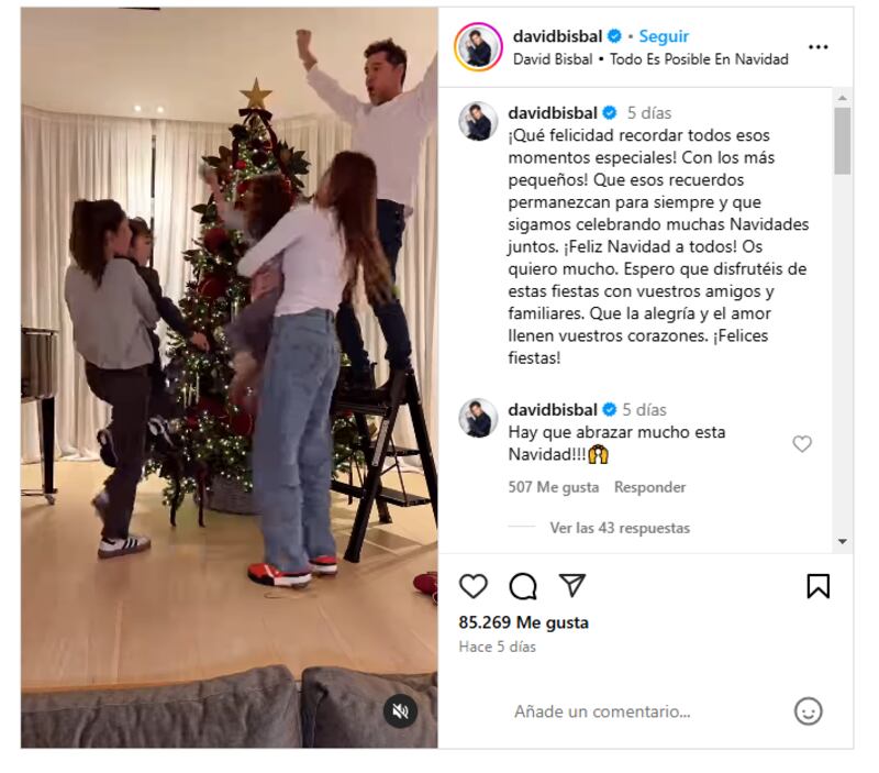 David Bisbal puso su árbol de Navidad junto a su hermosa familia