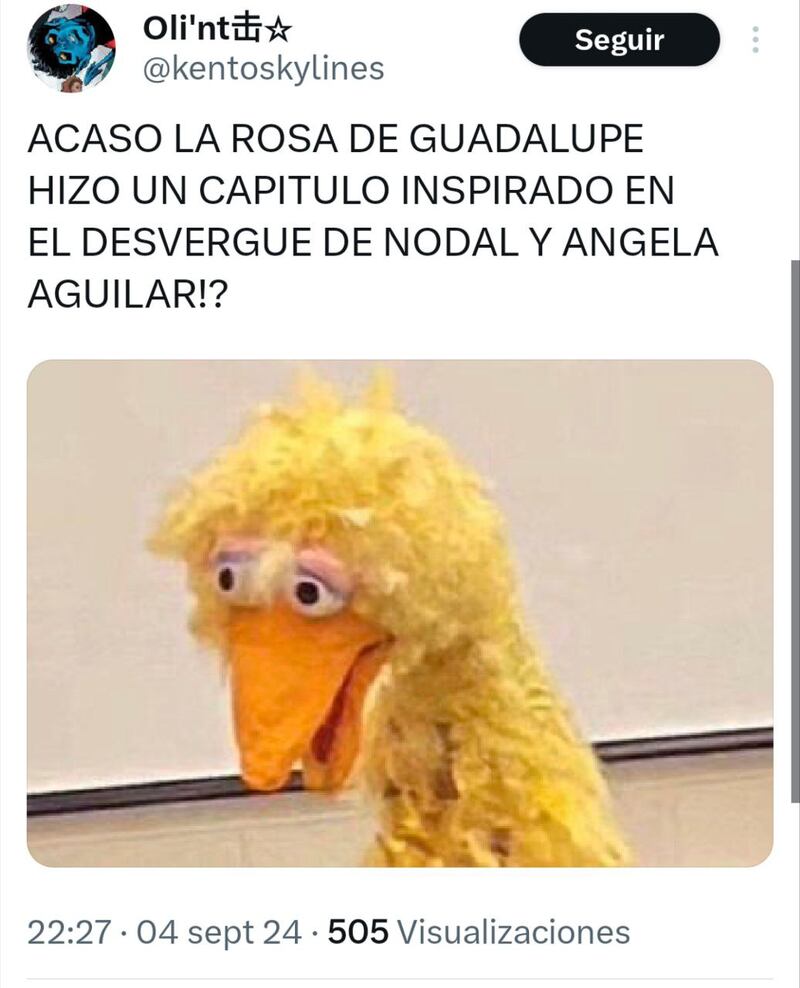 Los memes de La Rosa de Guadalupe