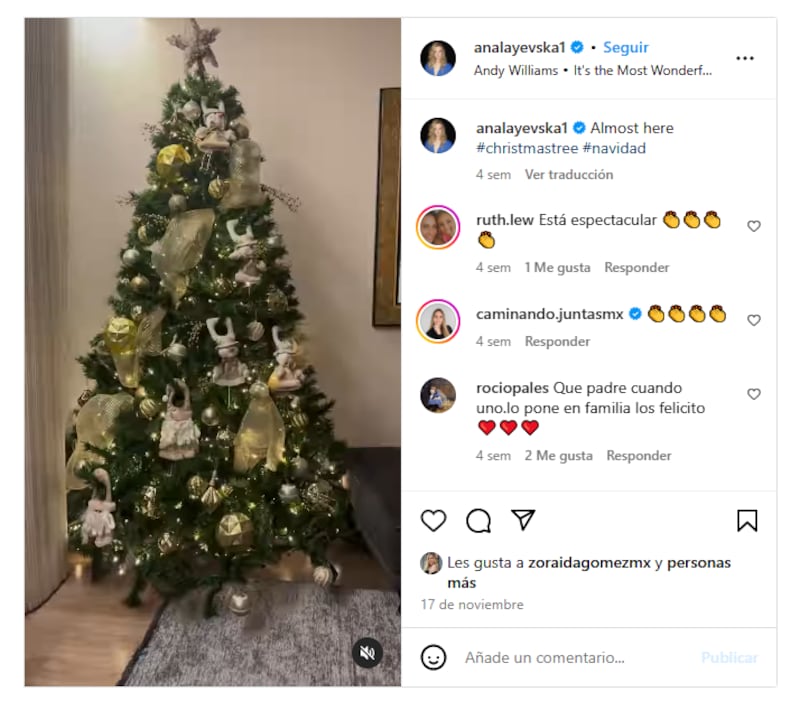 Ana Layevska puso su árbol de Navidad junto a su familia