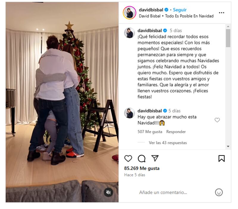 David Bisbal puso su árbol de Navidad junto a su hermosa familia