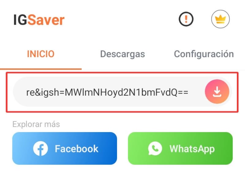 Captura de la app Story Downloader & IGSaver