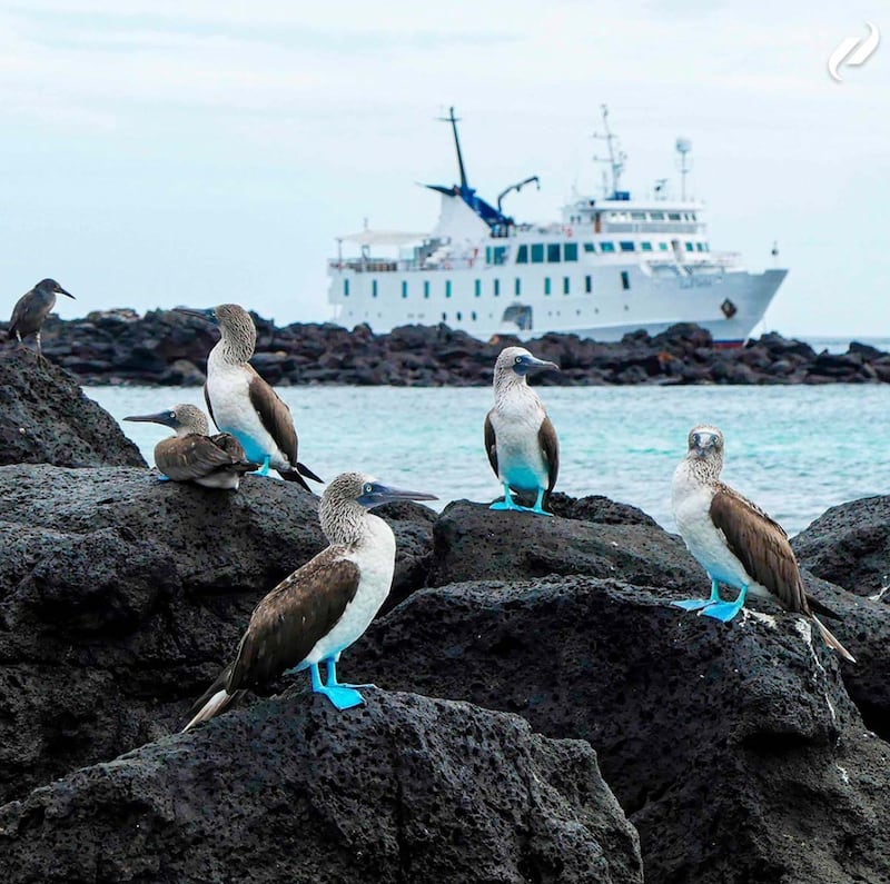 Islas Galápagos