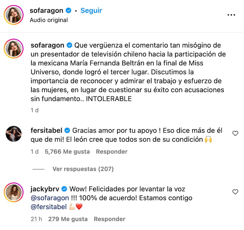 Comentario de María Fernanda Beltrán | Captura: Instagram @sofaragon