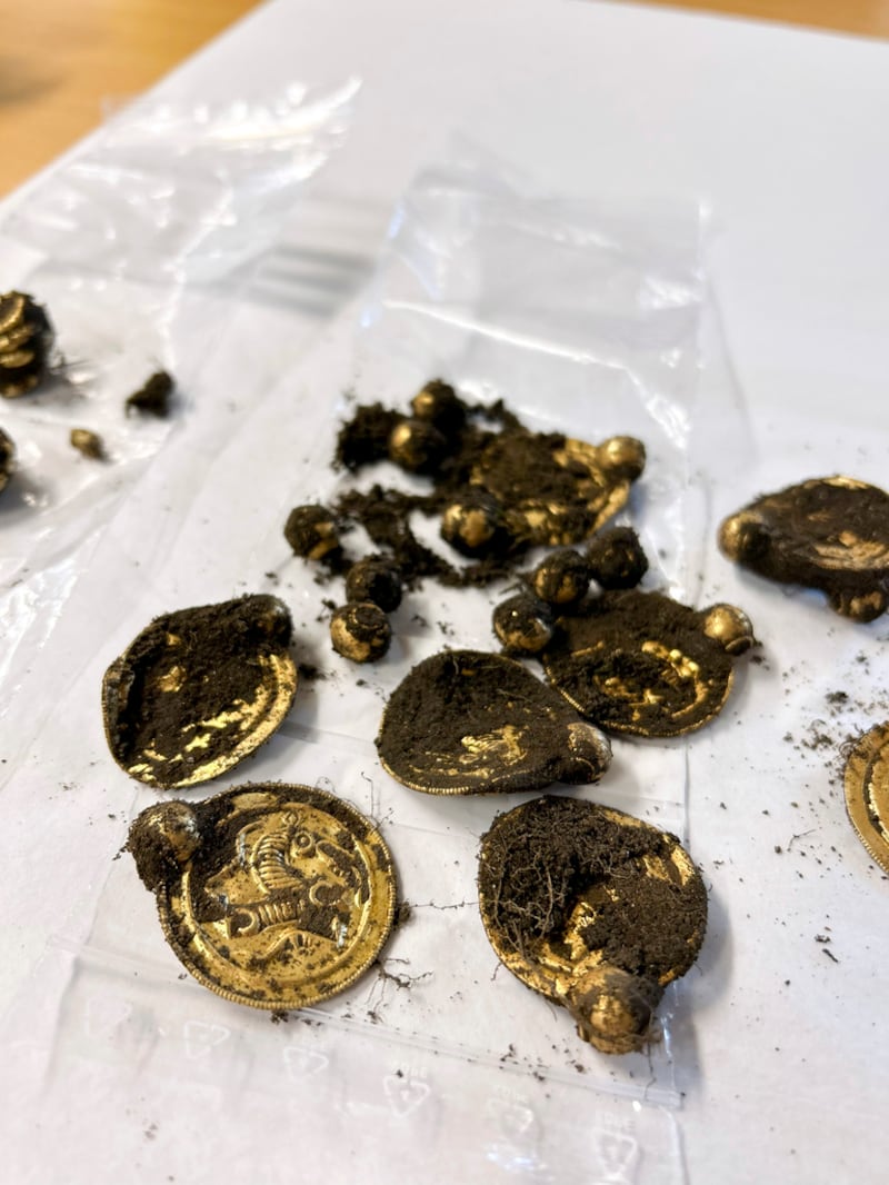 Varias joyas de oro de 1.500 años de antigüedad son exhibidas el 7 de septiembre de 2023, en Noruega, después de que un hombre con un detector de metales descubrió las piezas en la isla de Rennesoy. (Anniken Celine Berger/Museo Arqueológico, UiS vía NTB vía AP)